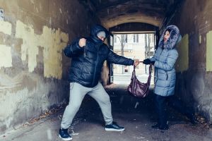 Fairfax Theft Lawyer For Cases Involving Criminal History
